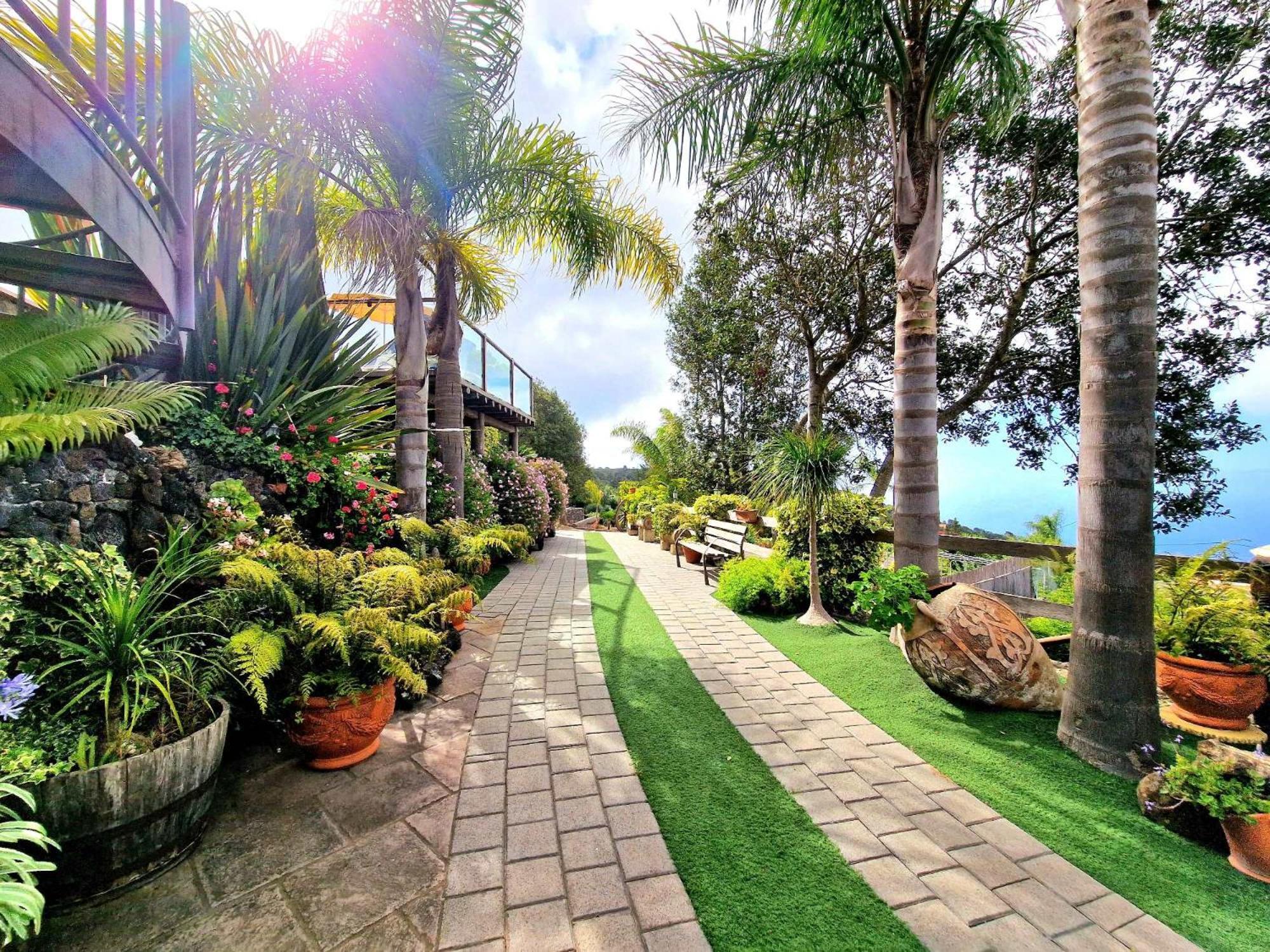Finca Los Loros Icod De Los Vinos By Hrtenerife Net Santa Cruz de Tenerife Exterior foto
